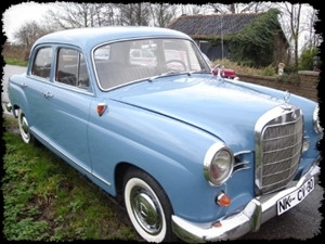 Steenbeek Technical Support